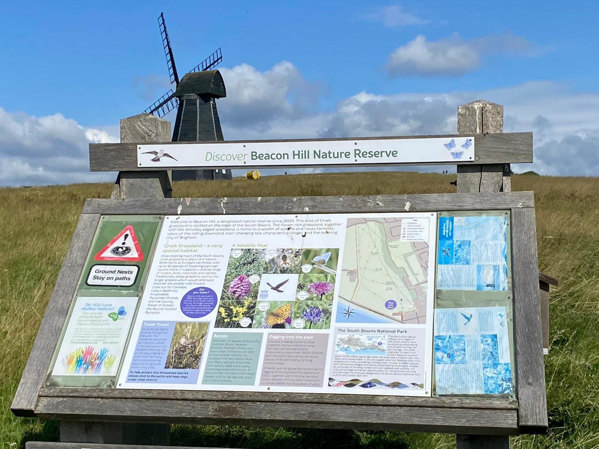 Rottingdean Boutique Studio Apartment By The Sea Brighton Eksteriør bilde
